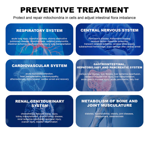 Hydrogen Water Bottle - Rechargeable - 7.78 Fl. Oz.