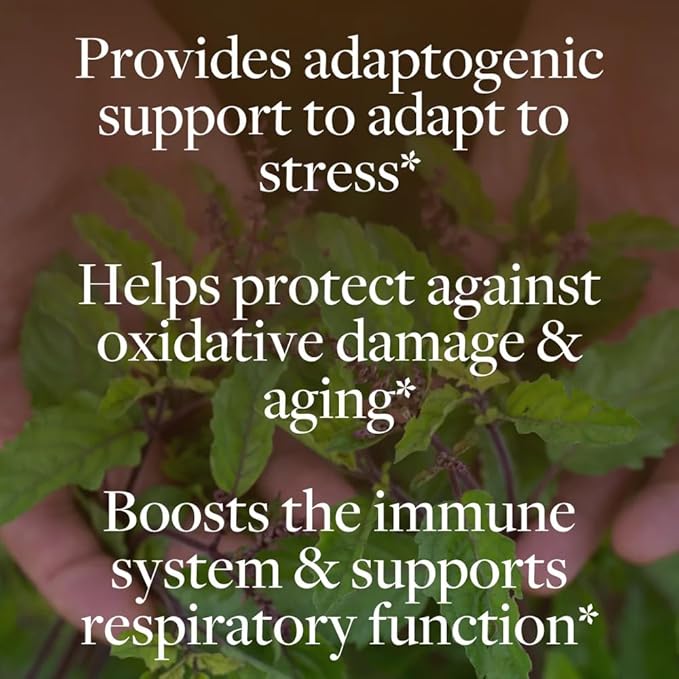 Regenerative Organic Certified Single - Holy Basil (60 ct)
