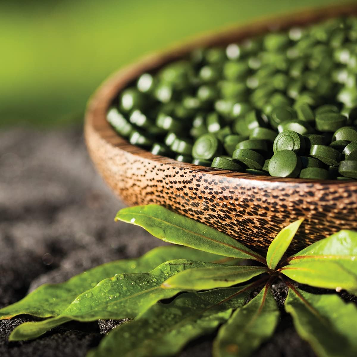 Sun Chlorella 200mg Tablets (1500 Count)