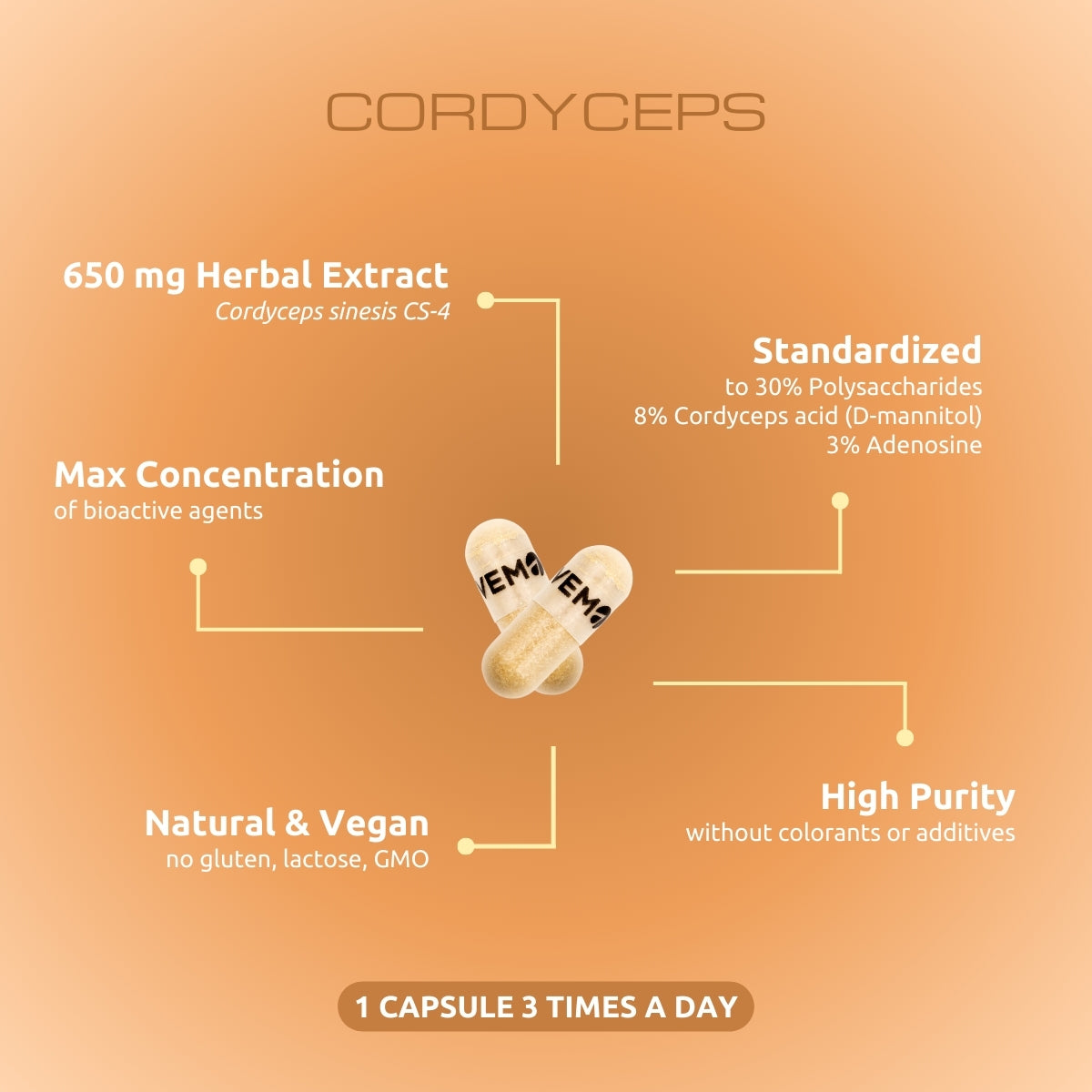 Cordyceps - 60 capsules