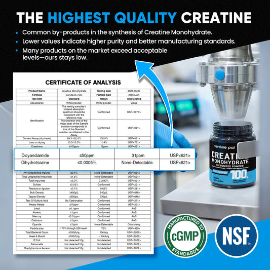Micronized Creatine Monohydrate Powder – 60 Servings
