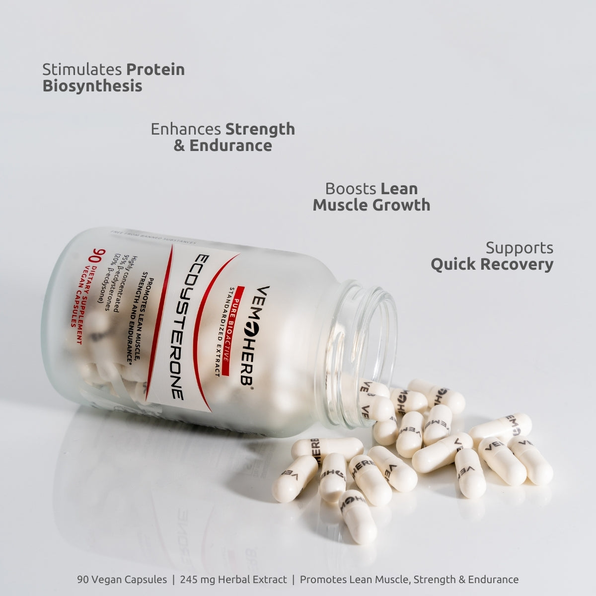 Ecdysterone - Maral Root /Leuzea Extract - 90 capsules