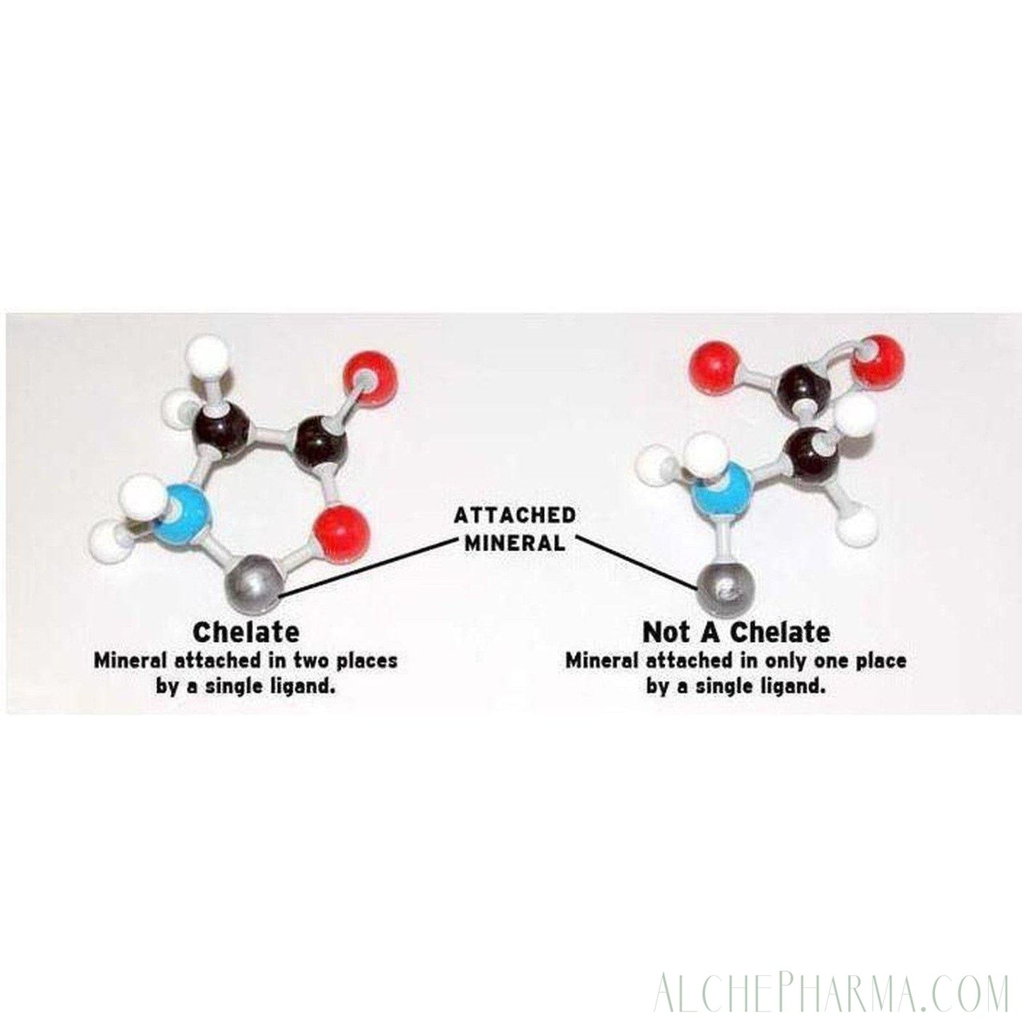 AP Gold Standard Albion Chelazome Magnesium 90 Tablets. - AlchePharma