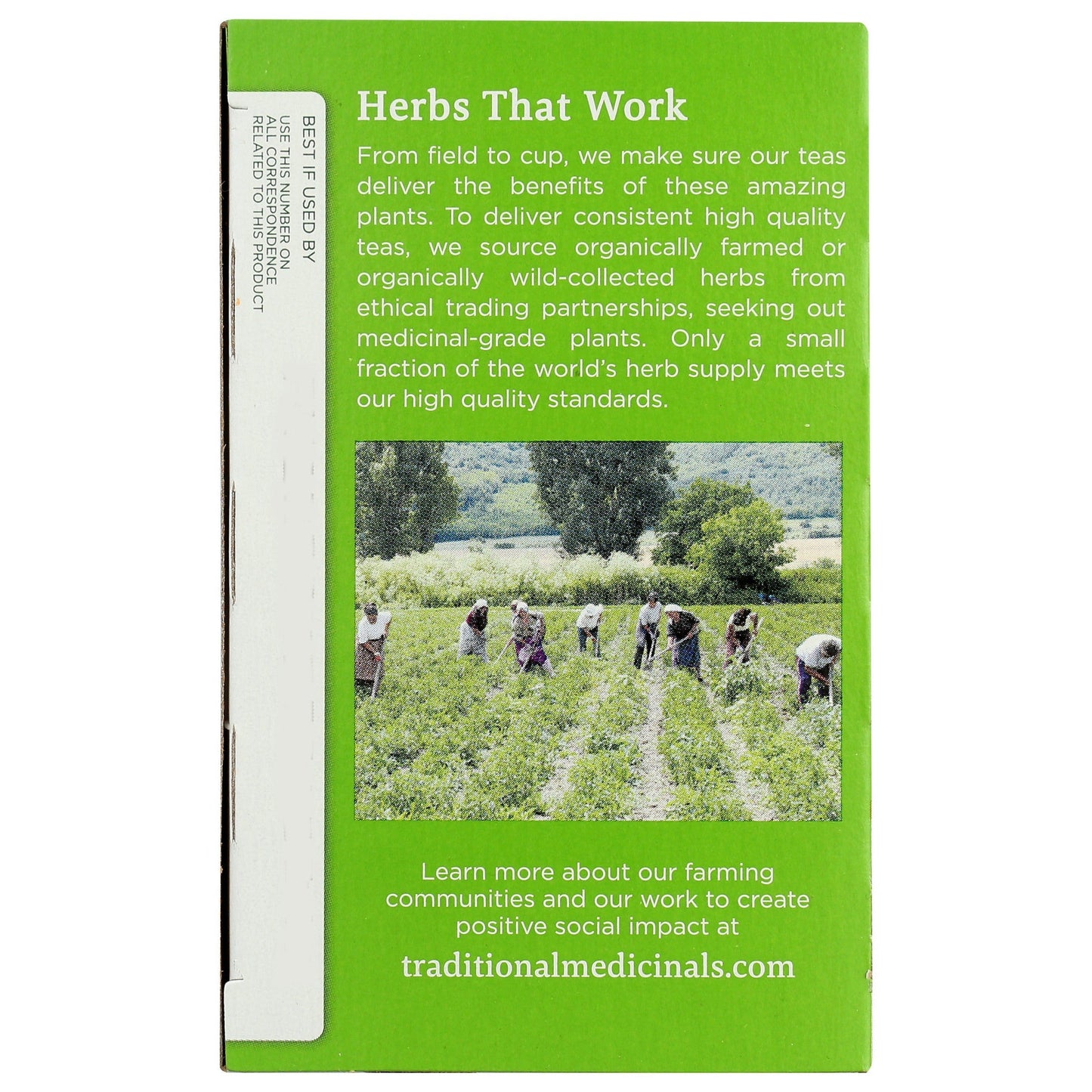 Green Tea - Peppermint, Organic-Herbal Teas-AlchePharma
