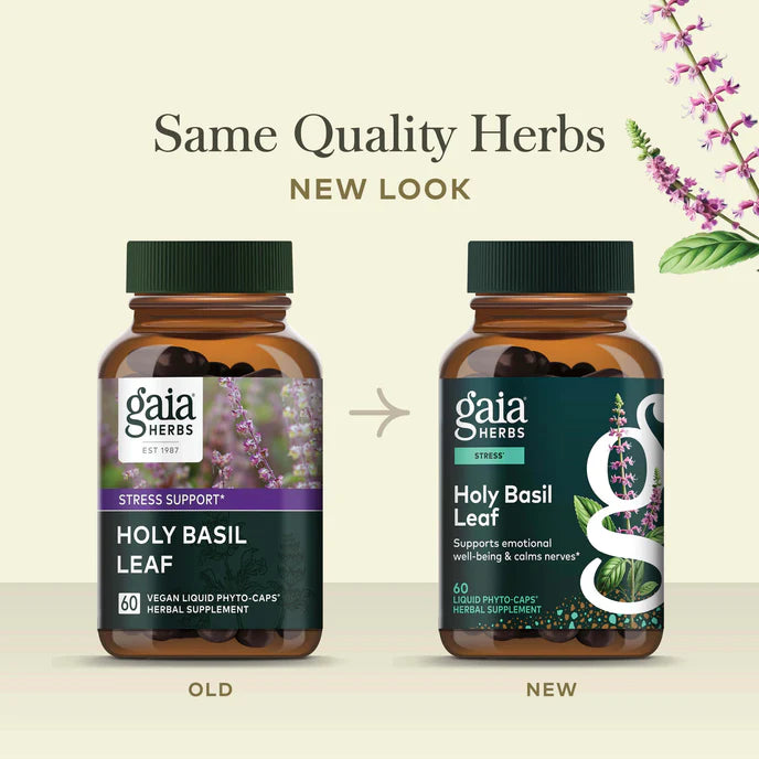 Holy Basil Leaf Liquid Veg Caps