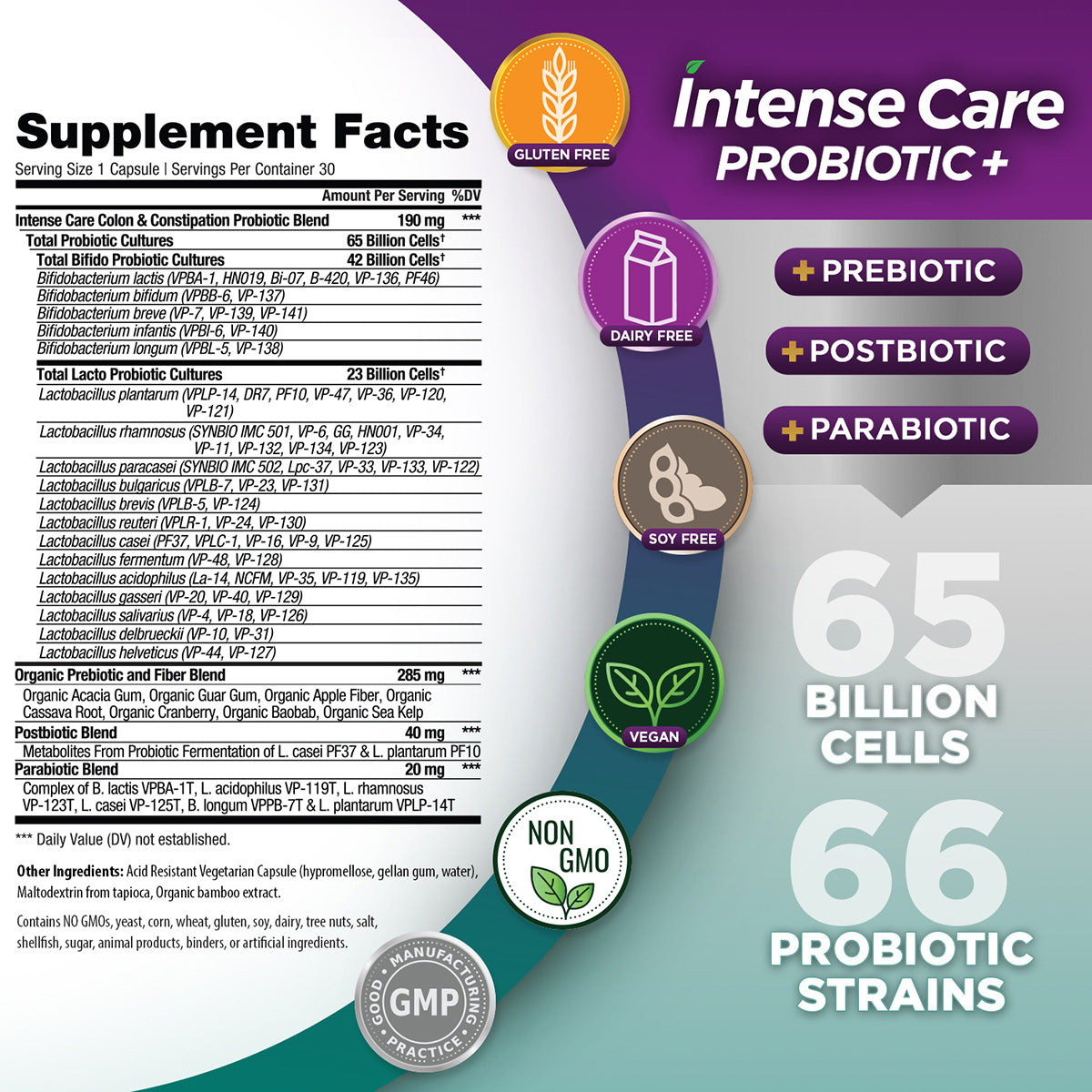 Intense Care Colon + Constipation Probiotic-Probiotic-AlchePharma