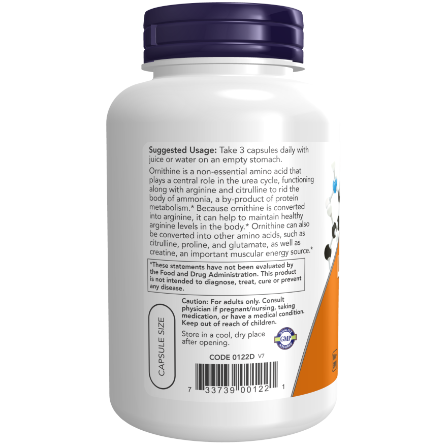 L-Ornithine 500 mg Veg Capsules-Amino Acids-AlchePharma