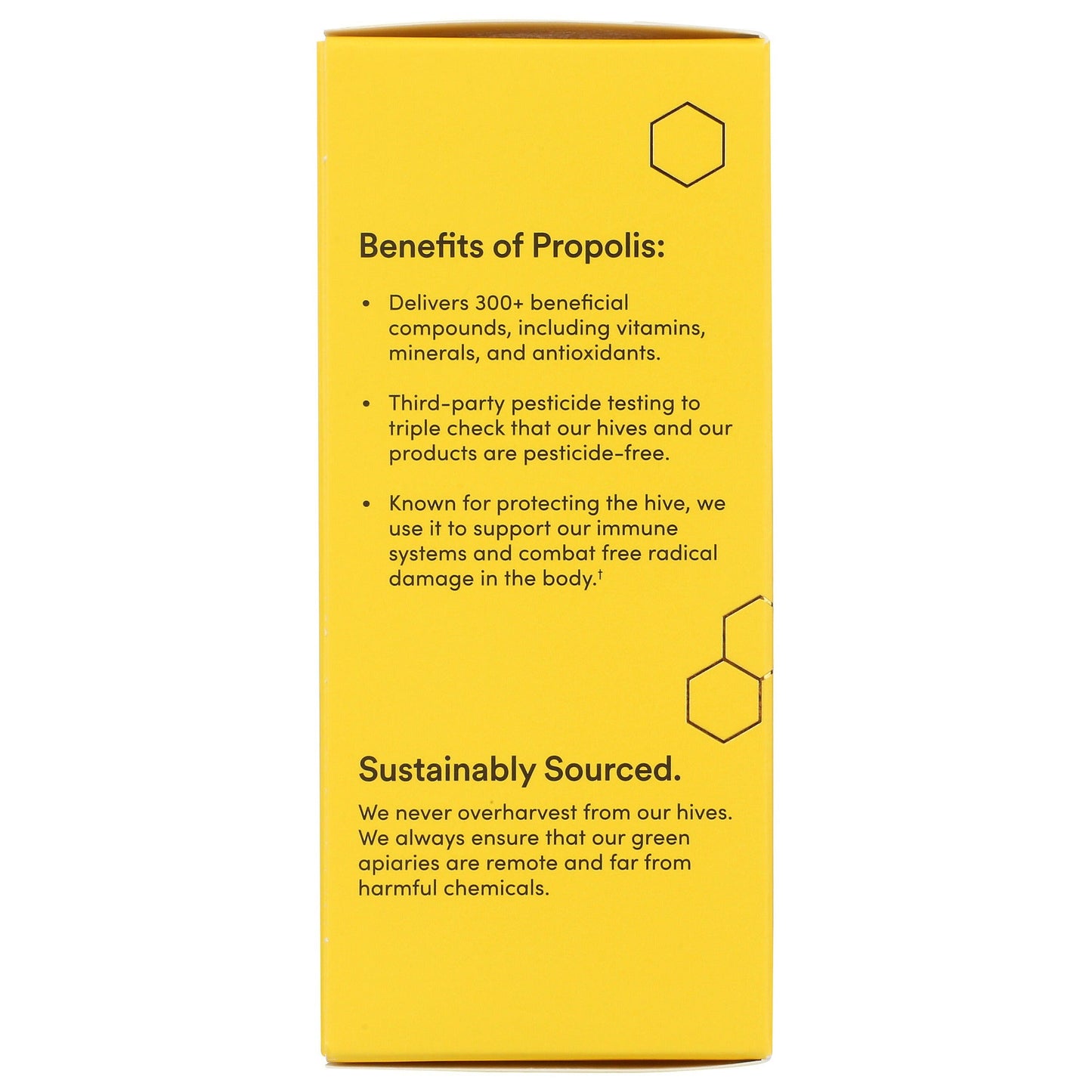 Propolis Cough Syrup 4 Fl. Oz. - Nighttime-cough syrup-AlchePharma