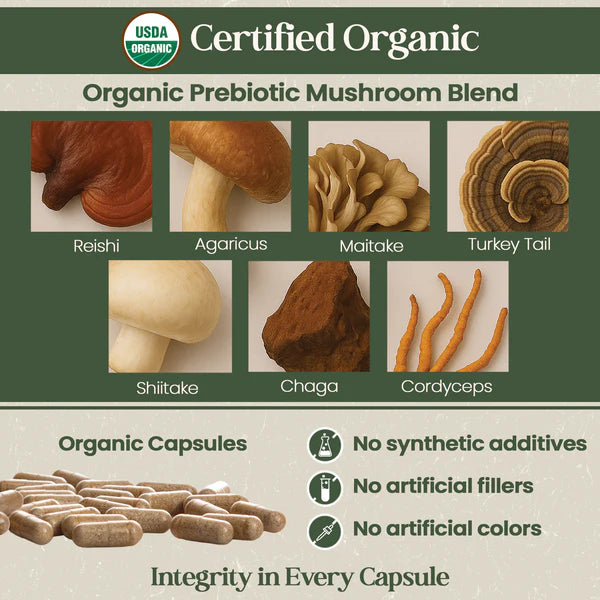 Organic Flora Senior’s Daily Probiotic Supplement
