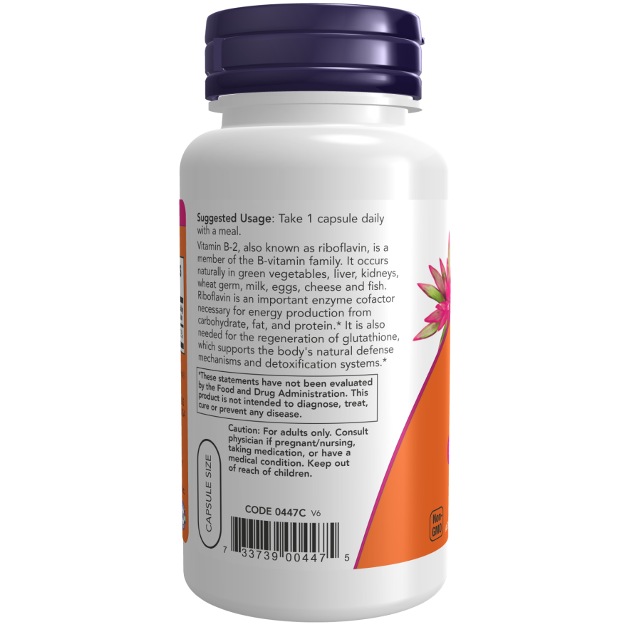 Vitamin B-2 100 mg Veg Capsules-Vitamins-AlchePharma