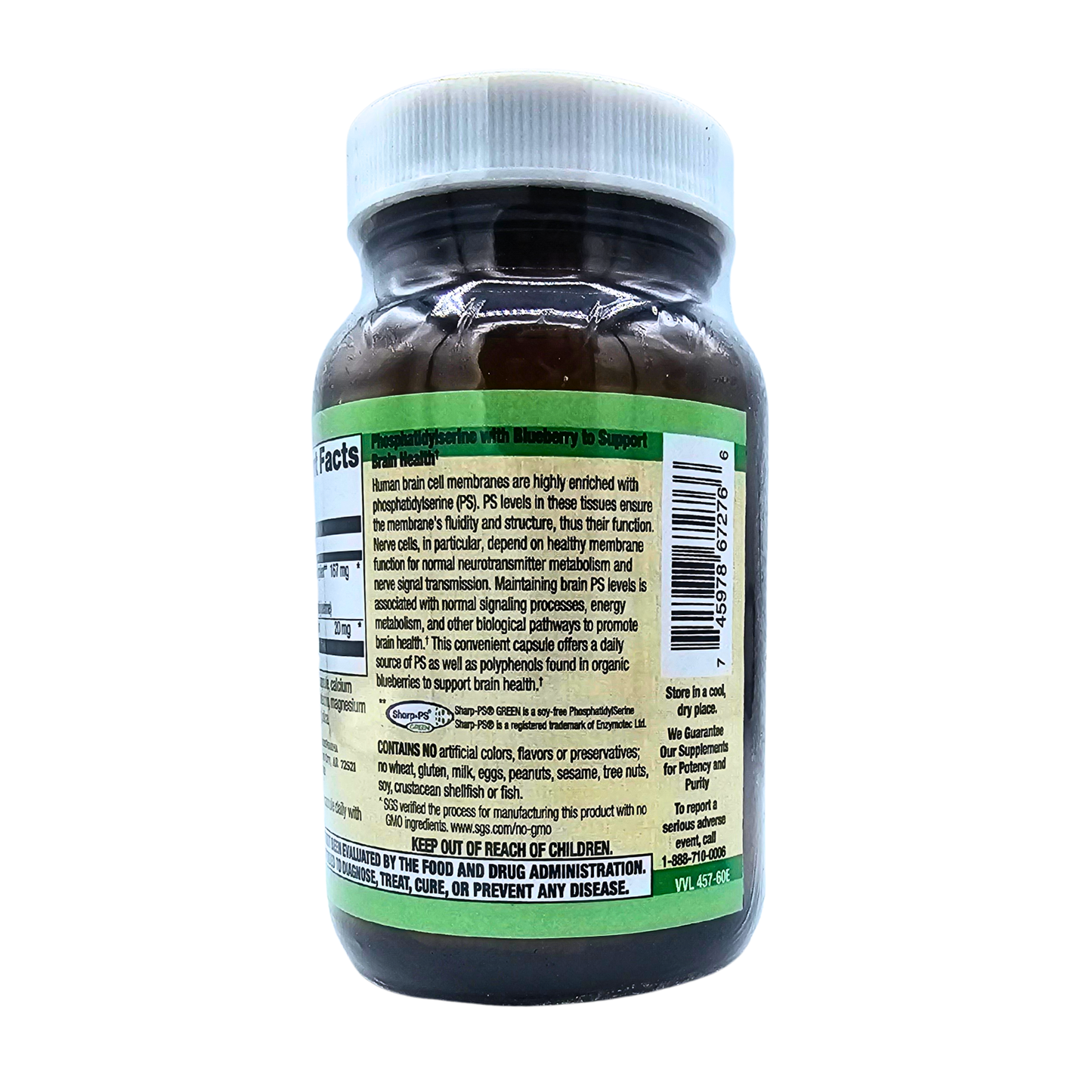 Memory Maintenance - Supports Brain Health