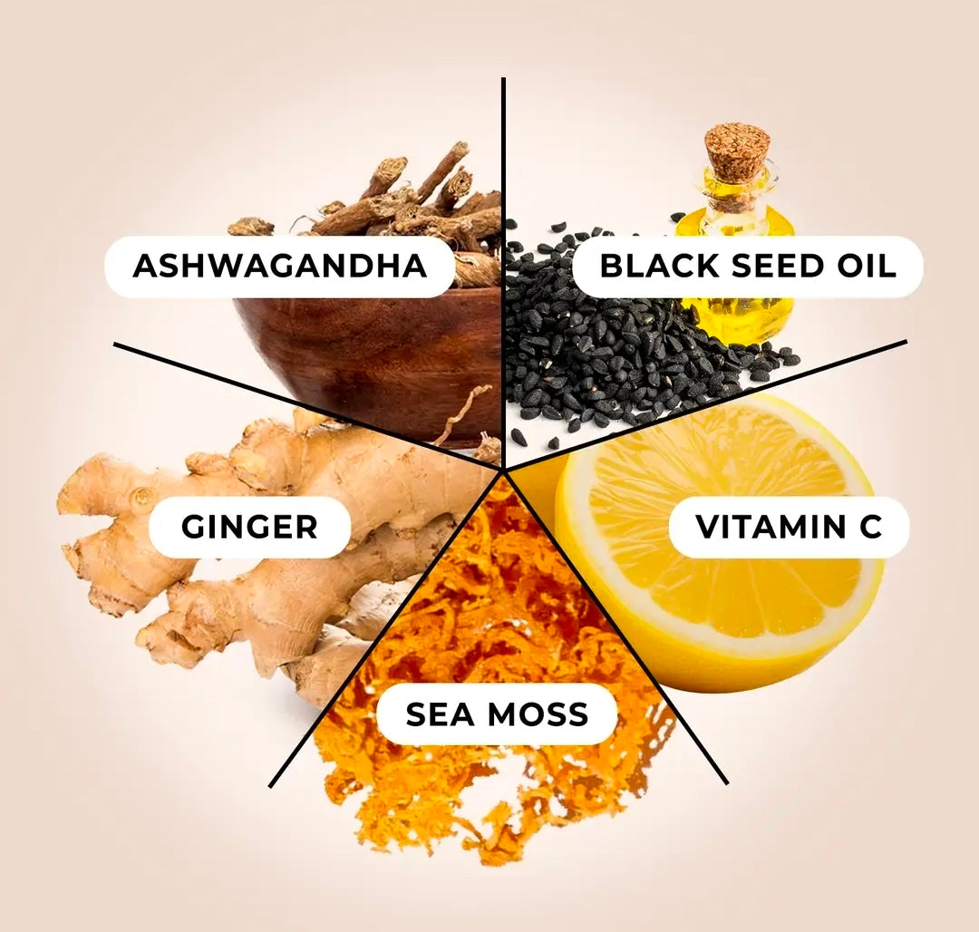 Sea Moss Gel Superfood - 5 In 1 blend - 16 Fl. Oz.