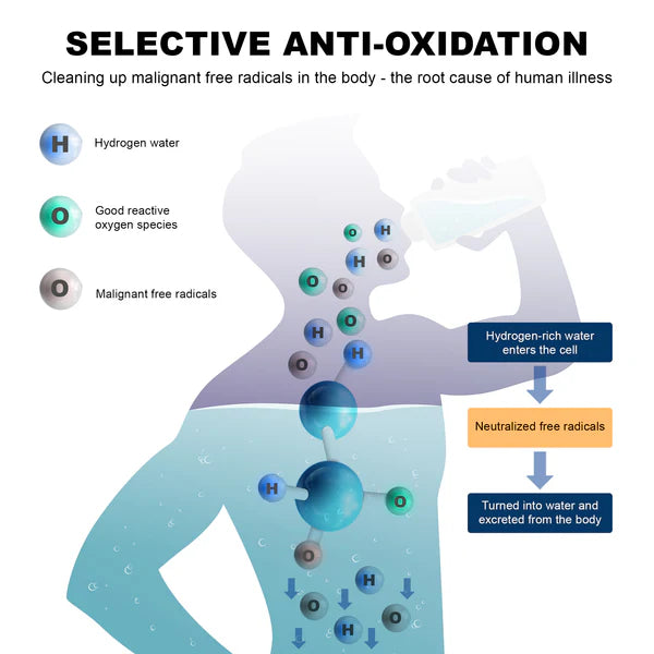 Hydrogen Water Bottle - Rechargeable - 7.78 Fl. Oz.