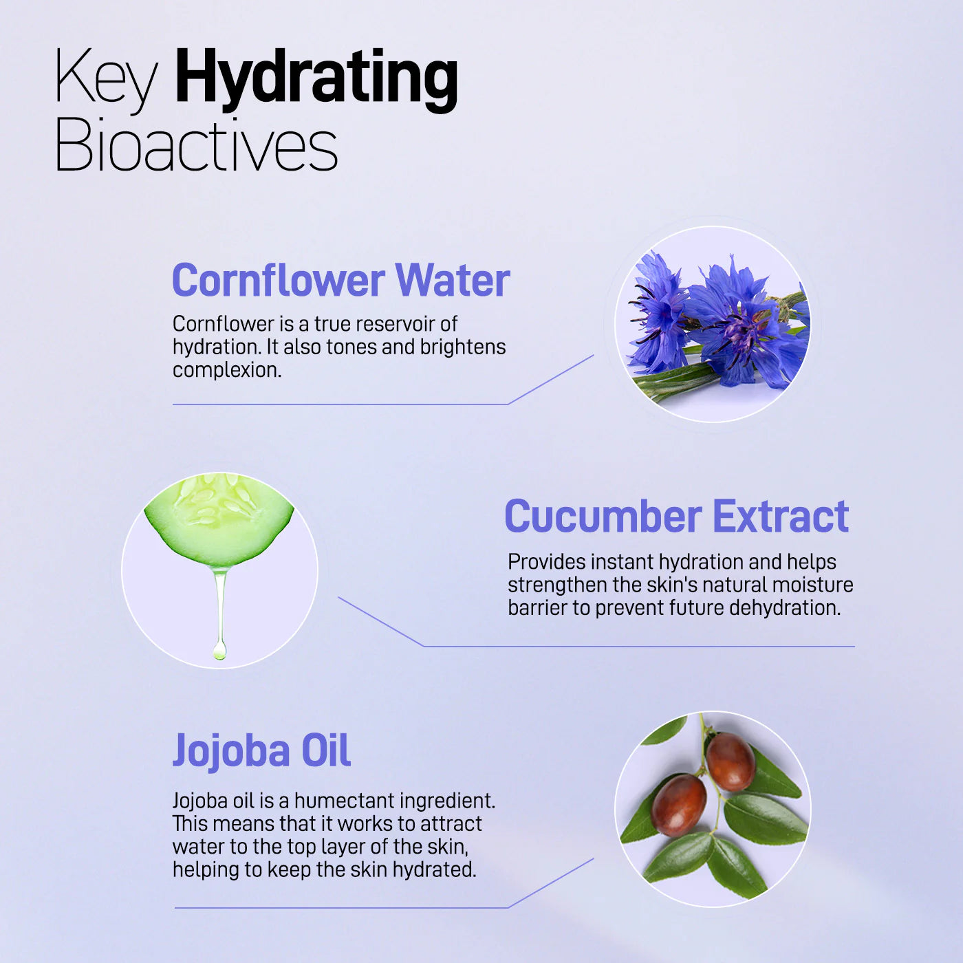Hydrating Facial Moisturizer - Cornflower & Cucumber - 50 mL