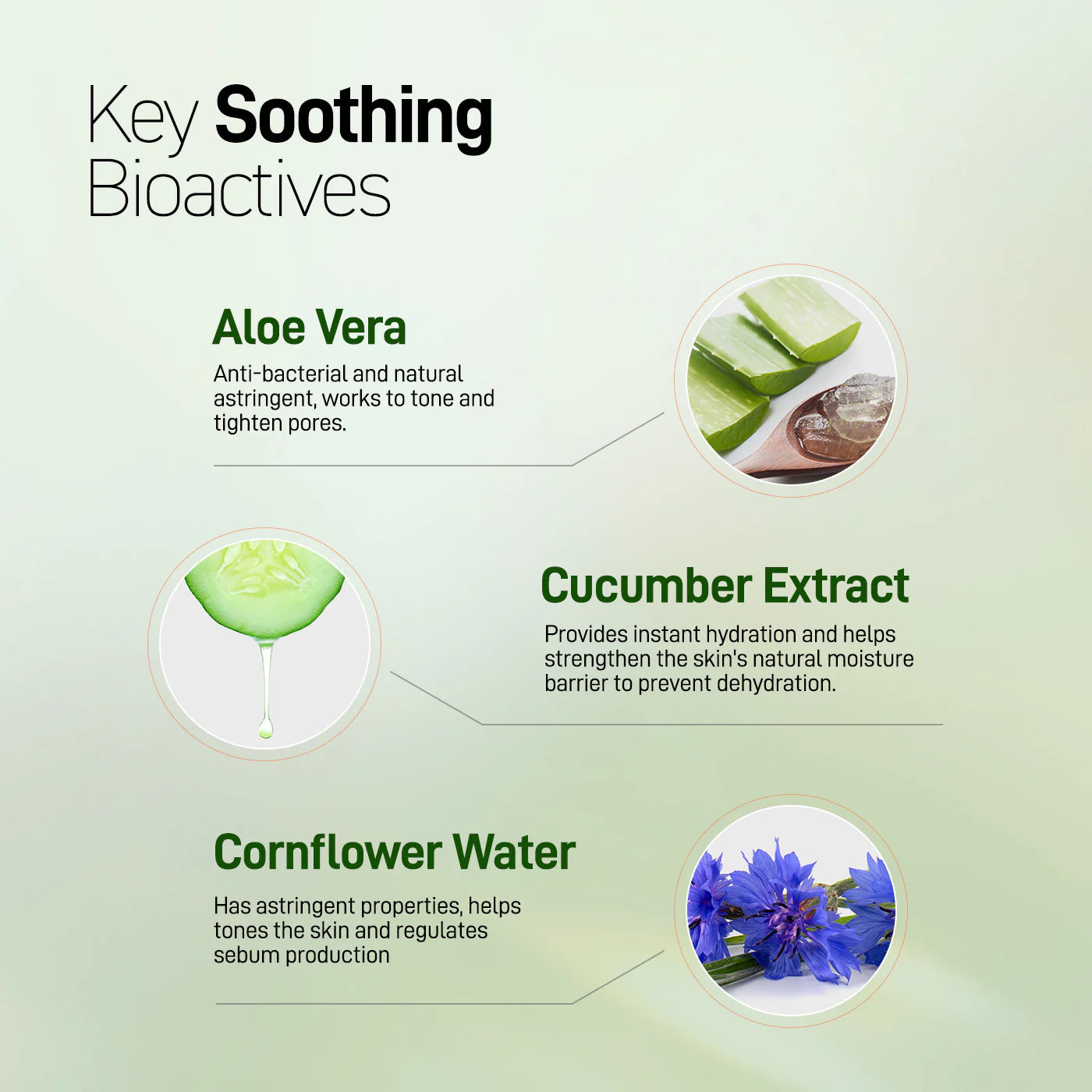 Oil Balancing Facial Moisturizer - Aloe & Cucumber - 50 mL