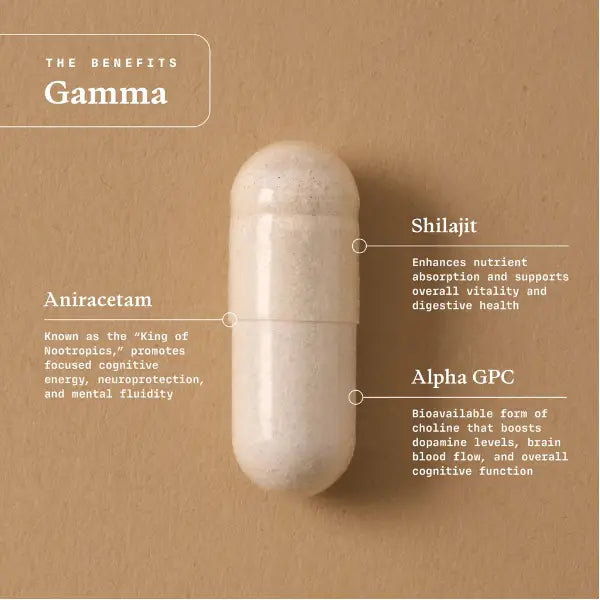 Gamma - Intense Nootropic Focus - 30 Capsules