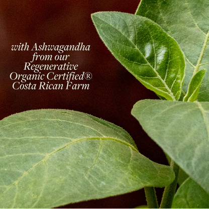 Regenerative Energy (60 ct)