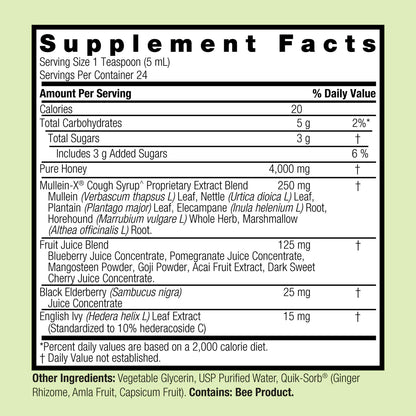 Natures Answer Mullein X Kids Cough Syrup
