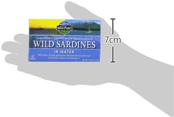 W P WILD SARD/SPRNG WTR