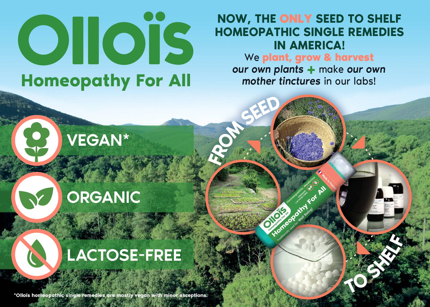 Olloïs 30c Complete (6 each) = 356 tubes / 4 dispensers