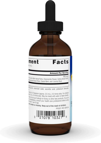 Well Child- Immune Boost Syrup - Planetary Herbals