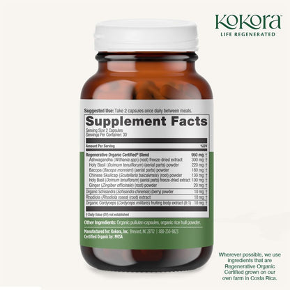 Regenerative Adrenal Support (60 ct)