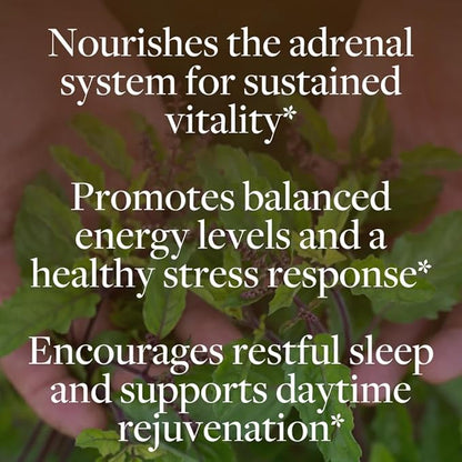 Regenerative Adrenal Support (60 ct)