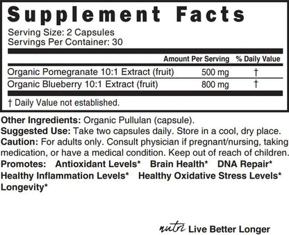 Blueberry & Pomegranate Extracts 1300 mg 60ct
