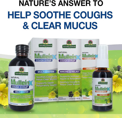 Natures Answer Mullein-X Throat Spray for Kids