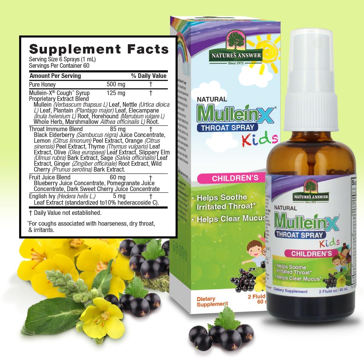Natures Answer Mullein-X Throat Spray for Kids