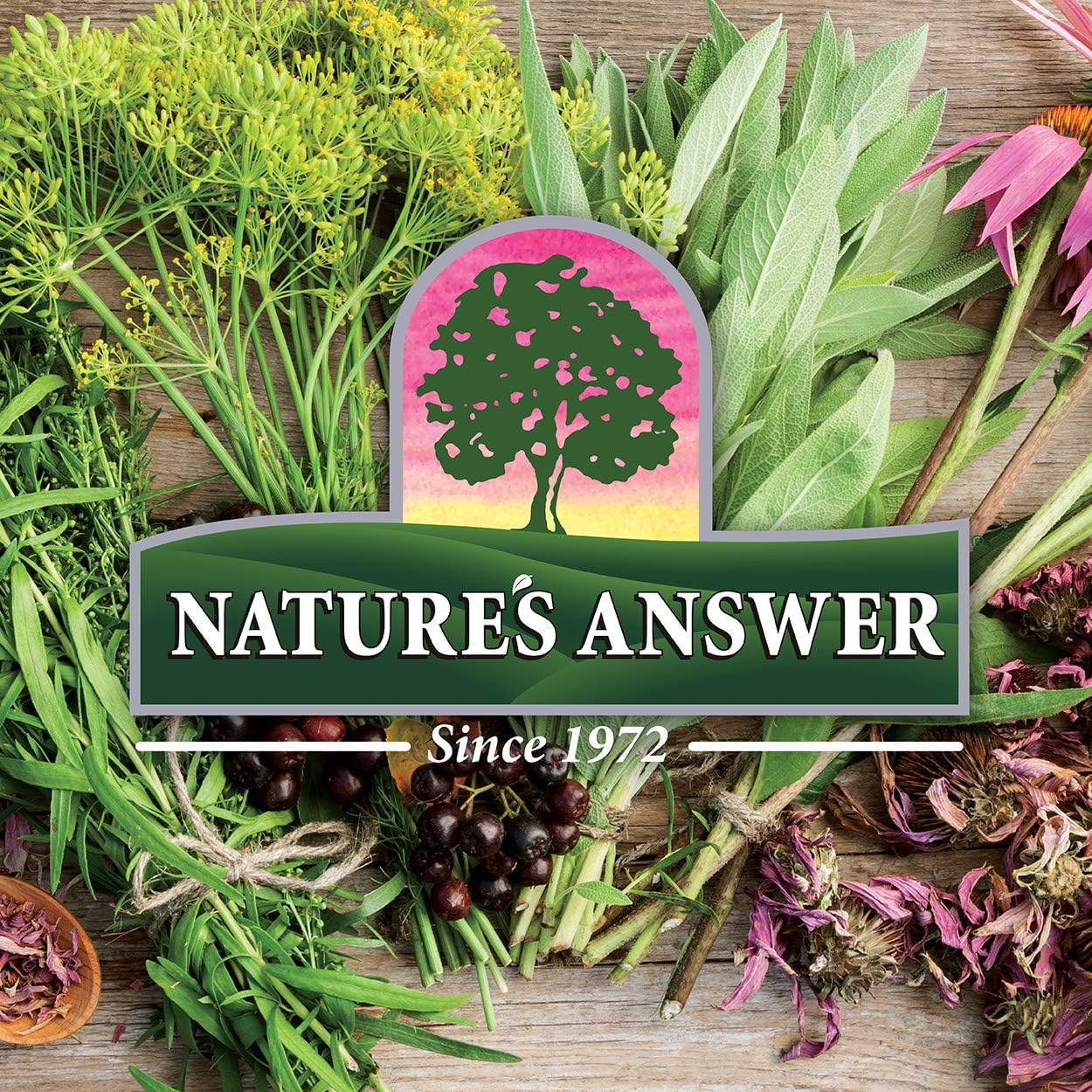 Nature's Answer Mullein-X Respiratory Soothing Throat Lozenges 24-Count