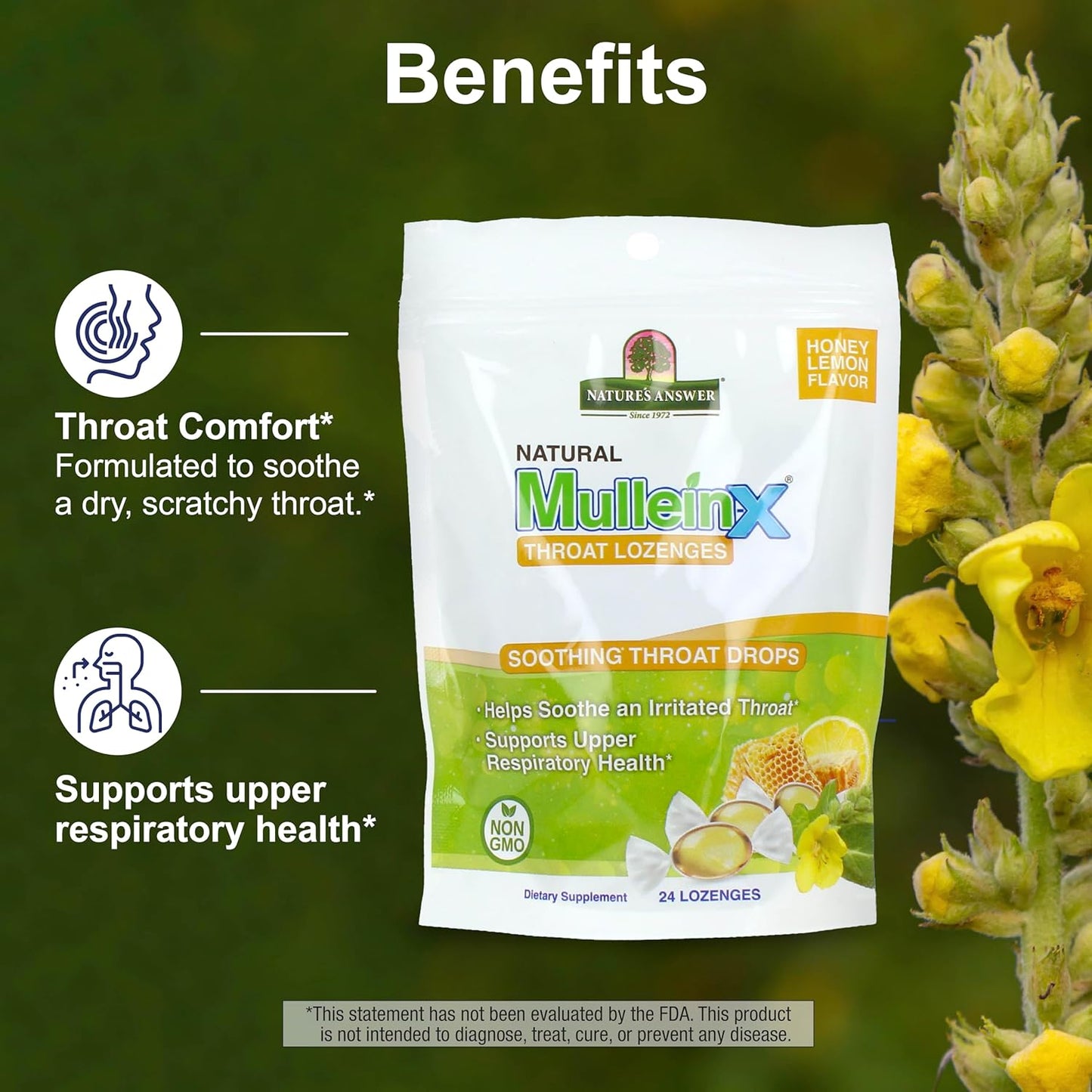 Nature's Answer Mullein-X Respiratory Soothing Throat Lozenges 24-Count