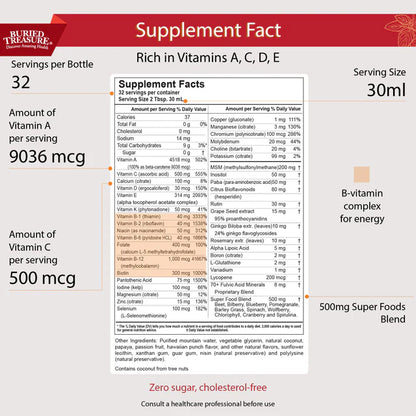 Active 55 Plus – Multivitamin Liquid 33 Fl. Oz.-Multiple Vitamins and Minerals-AlchePharma
