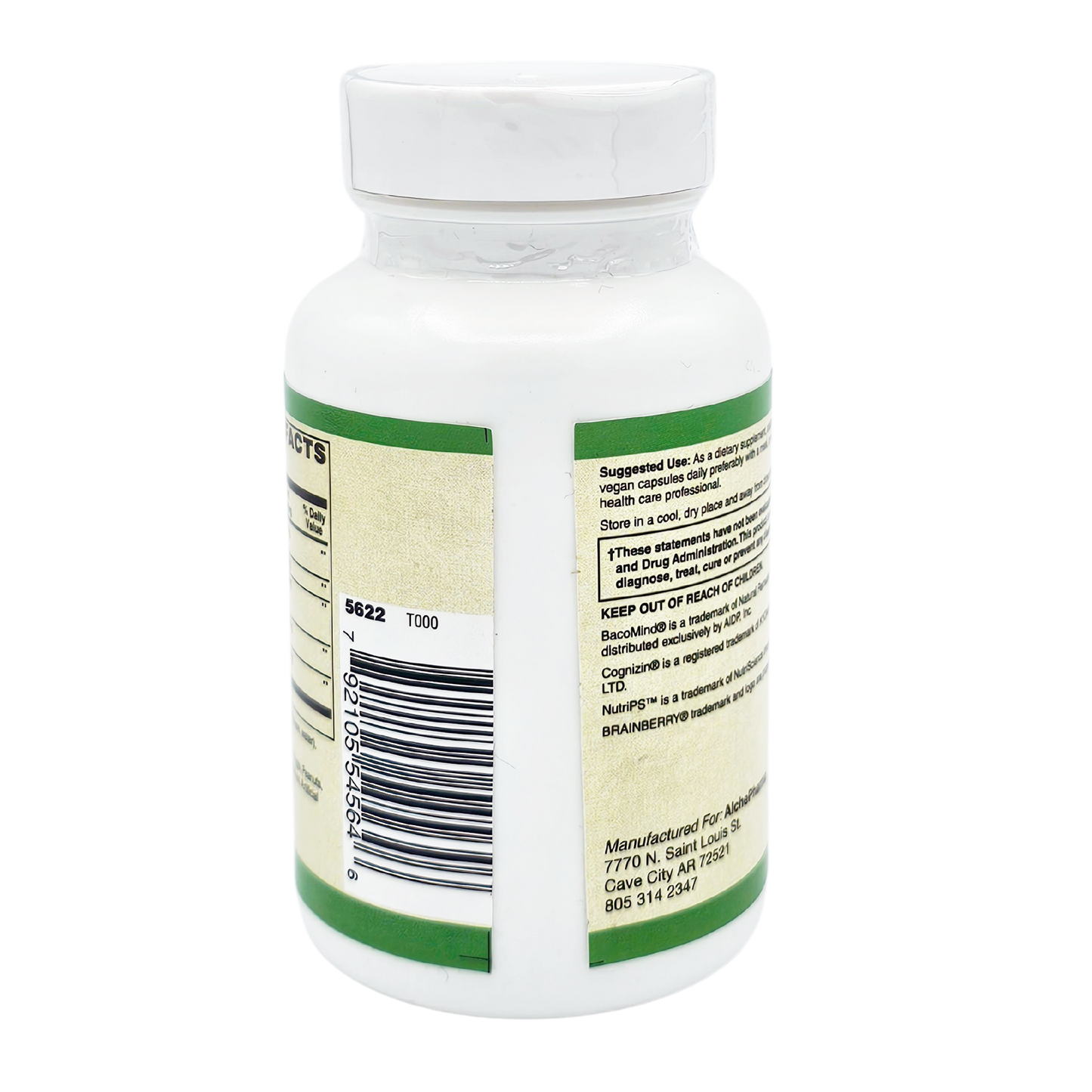 AlchePharma Advanced Brain Support: Enhance Memory, Focus, and Cognition. Vegan-AlchePharma