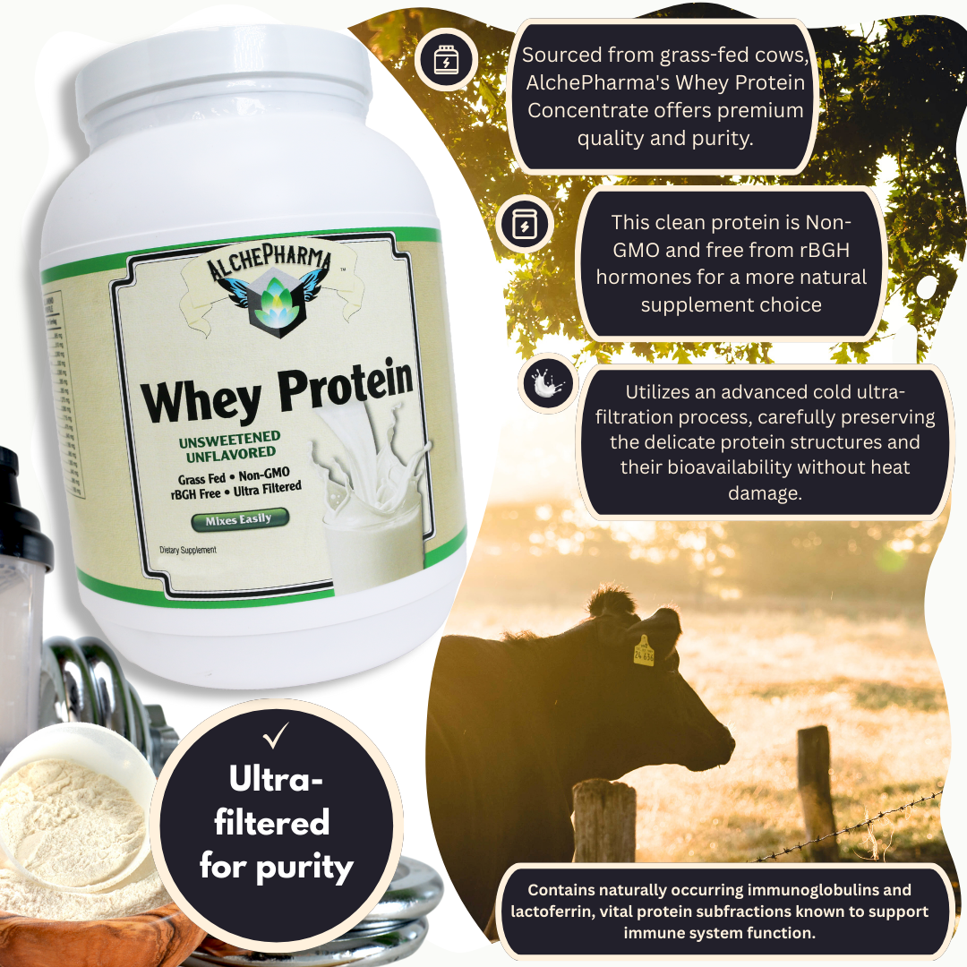 AlchePharma Grass-Fed Whey Concentrate - Unflavored-Protein Powders-AlchePharma