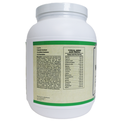 AlchePharma Premium Whey Blend (Concentrate & Isolate) - Natural Chocolate-Protein Powders-AlchePharma