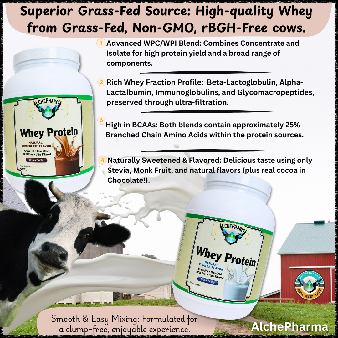 AlchePharma Premium Whey Blend (Concentrate & Isolate) - Natural Chocolate-Protein Powders-AlchePharma