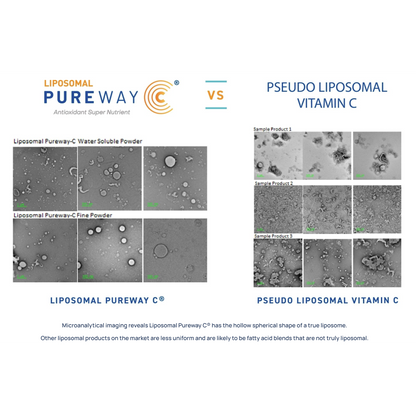 Authentic Liposomal Vitamin C-Vitamins & Supplements-AlchePharma