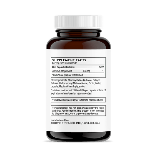 Bacillus Coagulans Probiotic 60 Capsules-Probiotics-AlchePharma