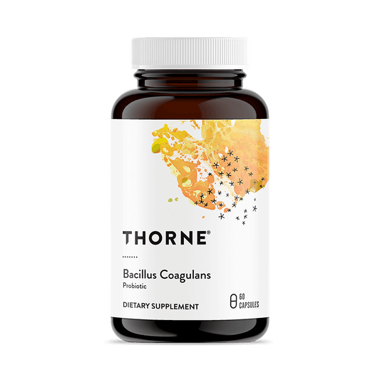 Bacillus Coagulans Probiotic 60 Capsules-Probiotics-AlchePharma