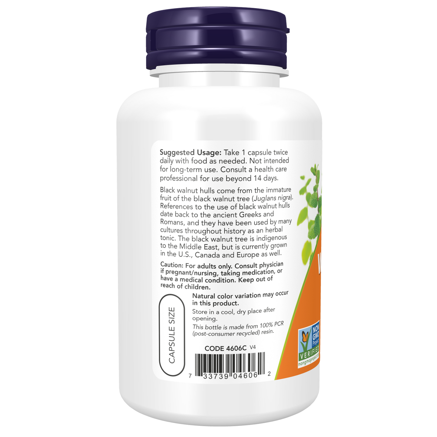 Black Walnut Hulls 500 mg 100 Veg Capsules-Herbs-AlchePharma