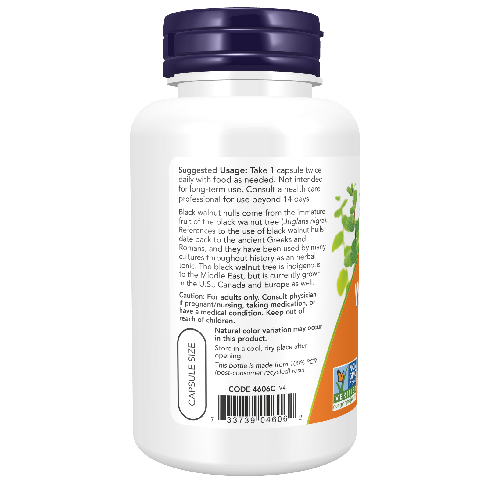 Black Walnut Hulls 500 mg 100 Veg Capsules-Herbs-AlchePharma