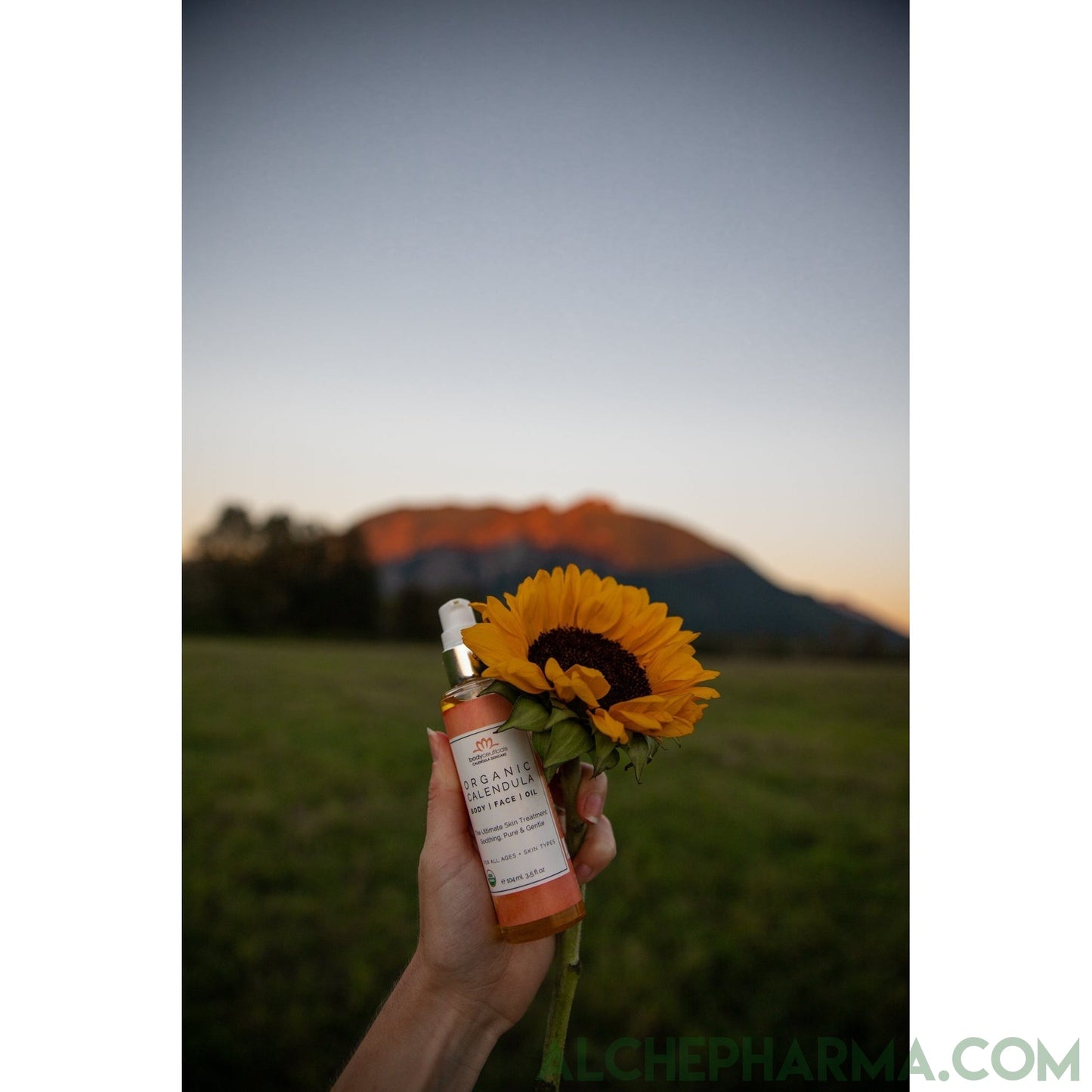 Calendula Oil-Eczema Treatment-AlchePharma