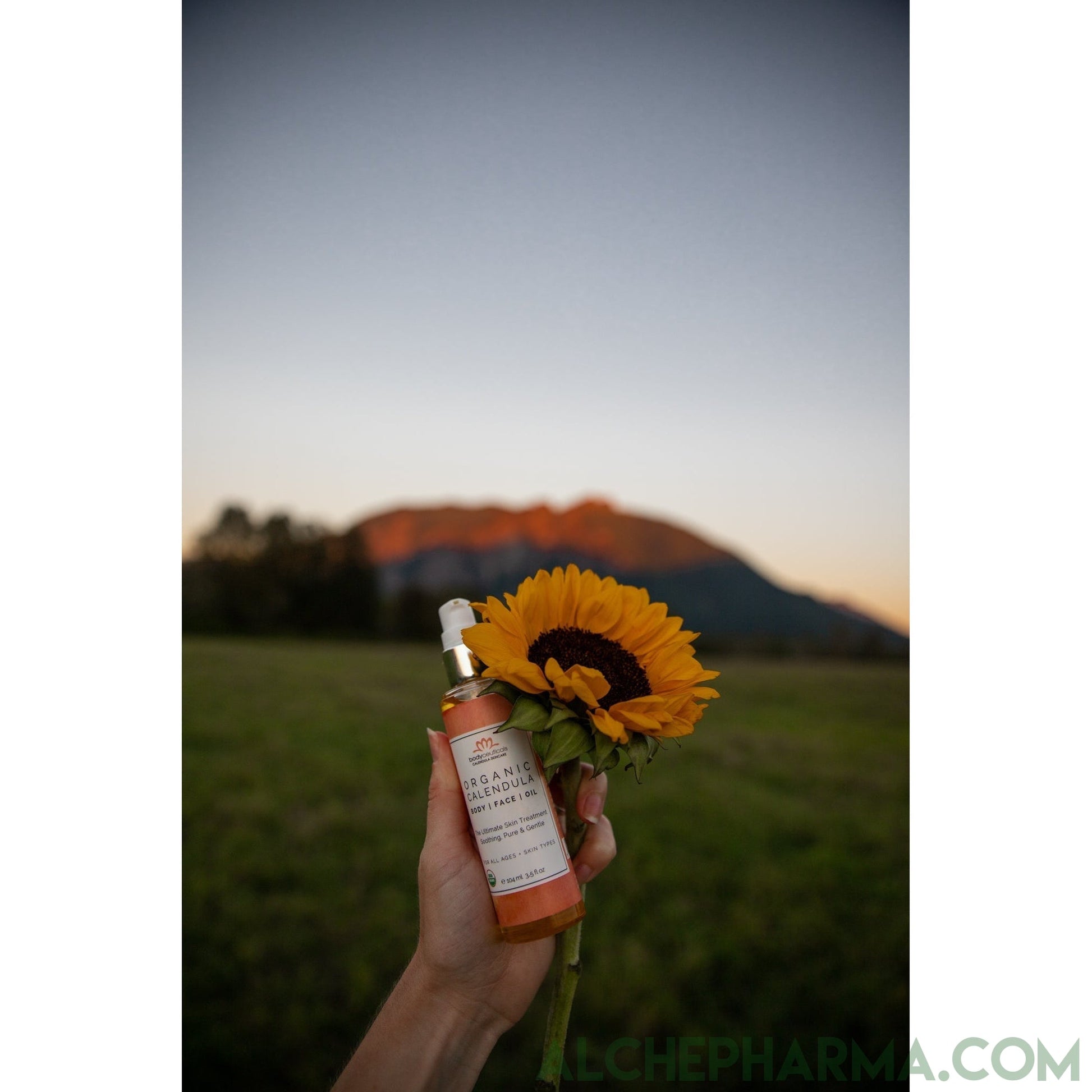 Calendula Oil-Eczema Treatment-AlchePharma