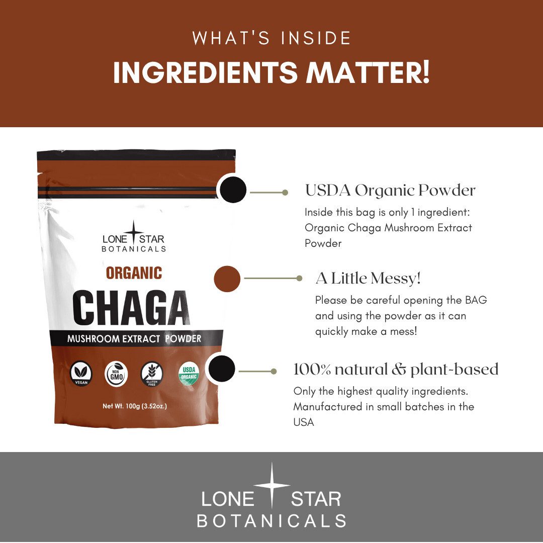 Chaga - Mushroom Extract Powder – 100g
