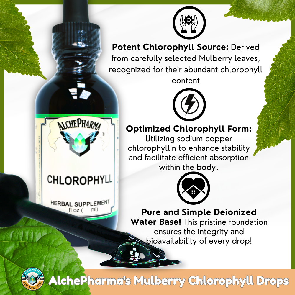 Chlorophyll from Mulberry Leaf as Sodium Copper Chlorophyllin ( 2mg copper per 15 drops) w/ Peppermint Essential Oil-Herbal-AlchePharma