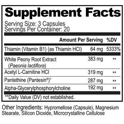 Acetyl-Choline Brain Food - Support for Cognitive Function - 60 Capsules