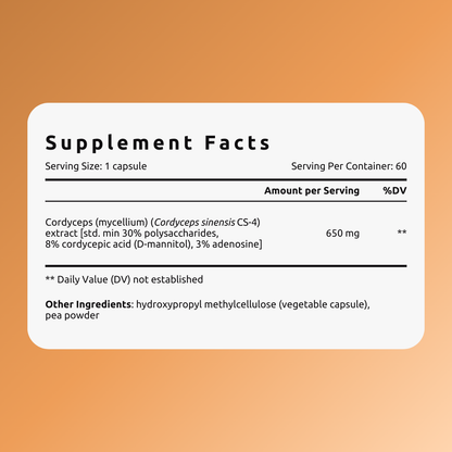 Cordyceps - 60 capsules