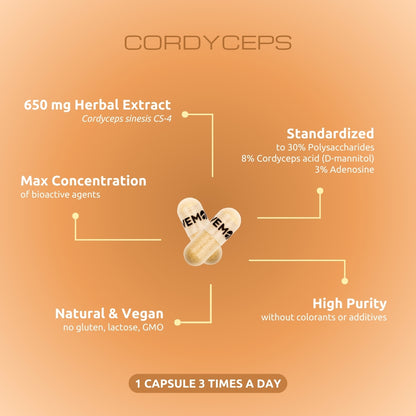 Cordyceps - 60 capsules