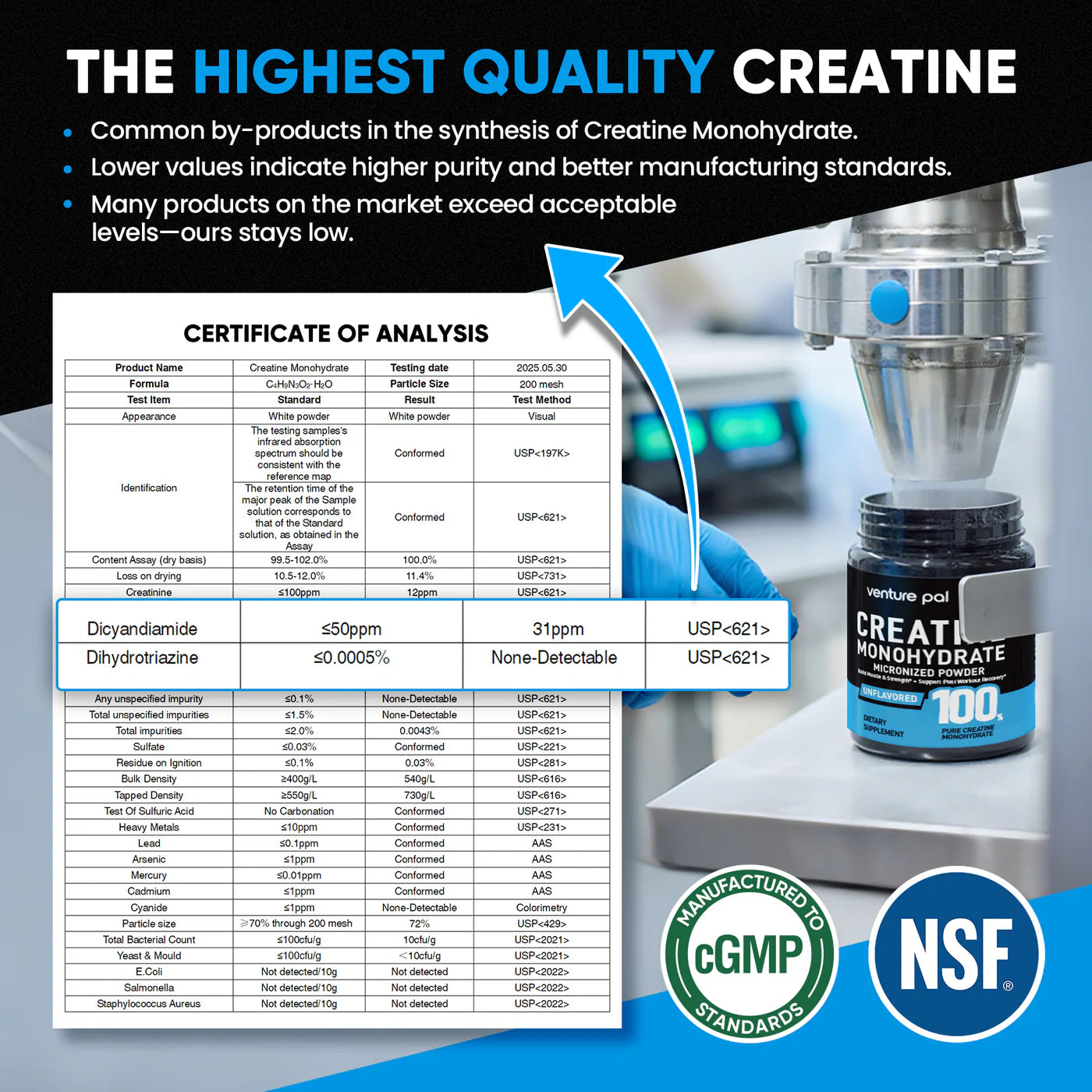 Micronized Creatine Monohydrate Powder – 60 Servings